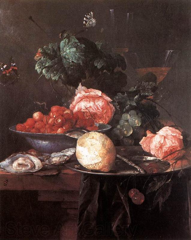 Jan Davidsz. de Heem Still-life with Fruits Spain oil painting art